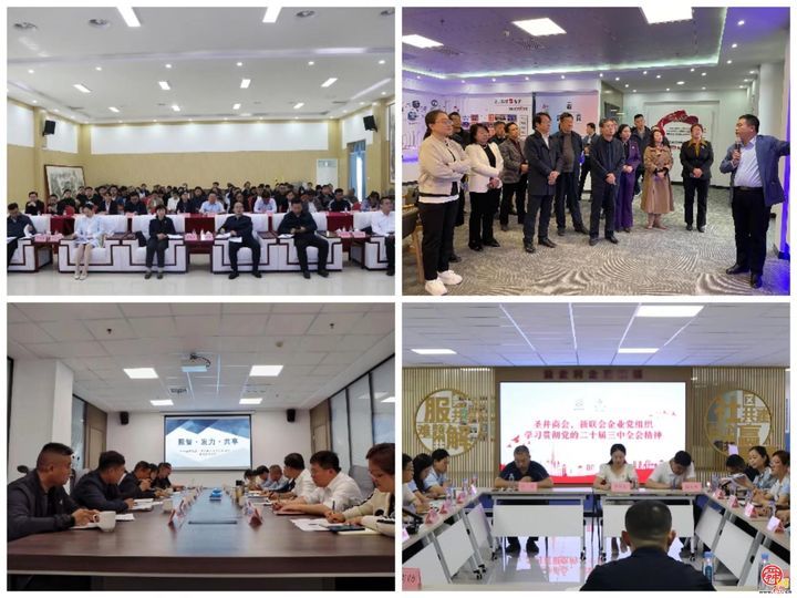 圣井新联会：“新”潮澎湃汇智领航  “联”动八方赋能发展