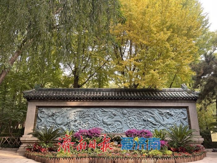 一年四季 泉在济南丨满屏五彩斑斓！五龙潭秋日打翻色盘