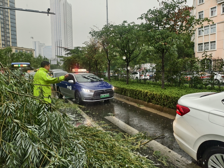 强降雨来袭济南街头大树添“堵” 他们逆行守护“雨天出行”