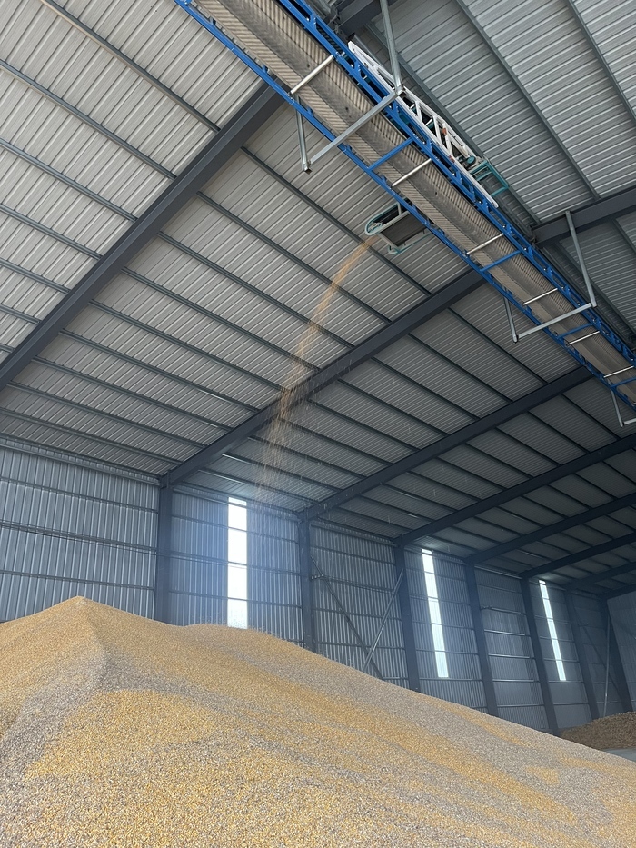 秋雨绵绵下不停，对济南秋收秋种有何影响？专家解读来了