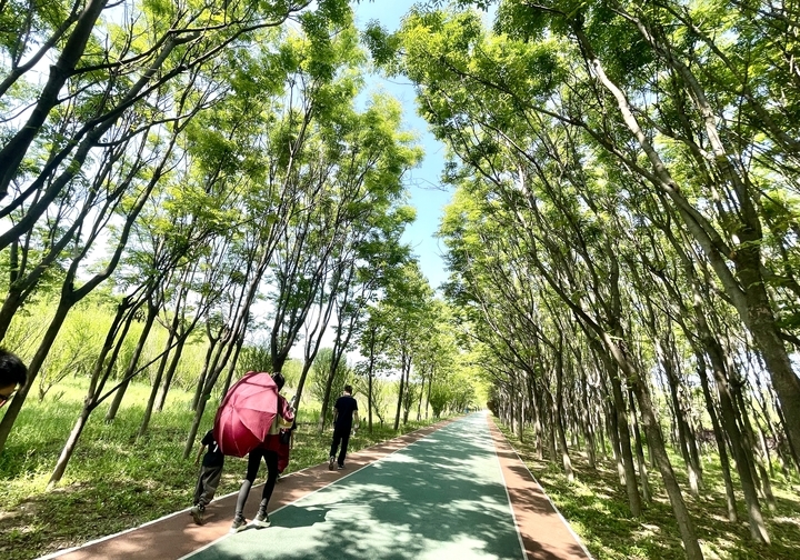 去济西湿地体验含“绿”量百分百的旅行