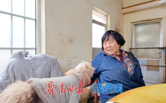 探访济南最大流浪动物基地 3000只“毛孩子”如何过冬
