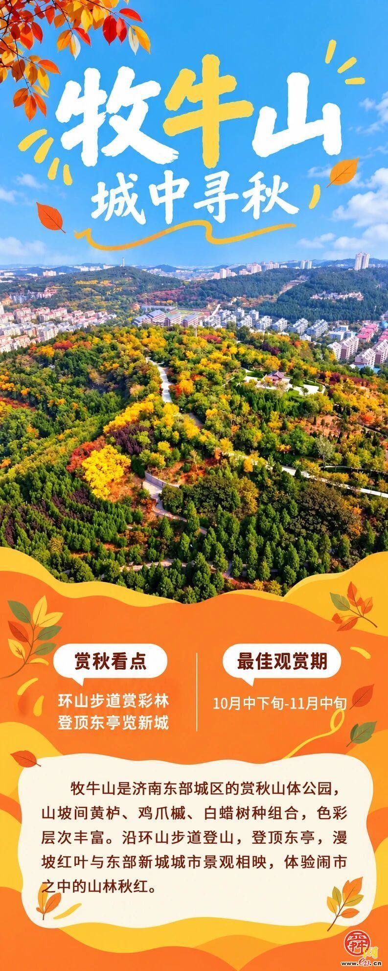 现在出发正当时！泉城红叶迎来最佳观赏期