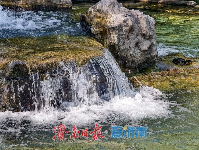 泉畔觅清凉