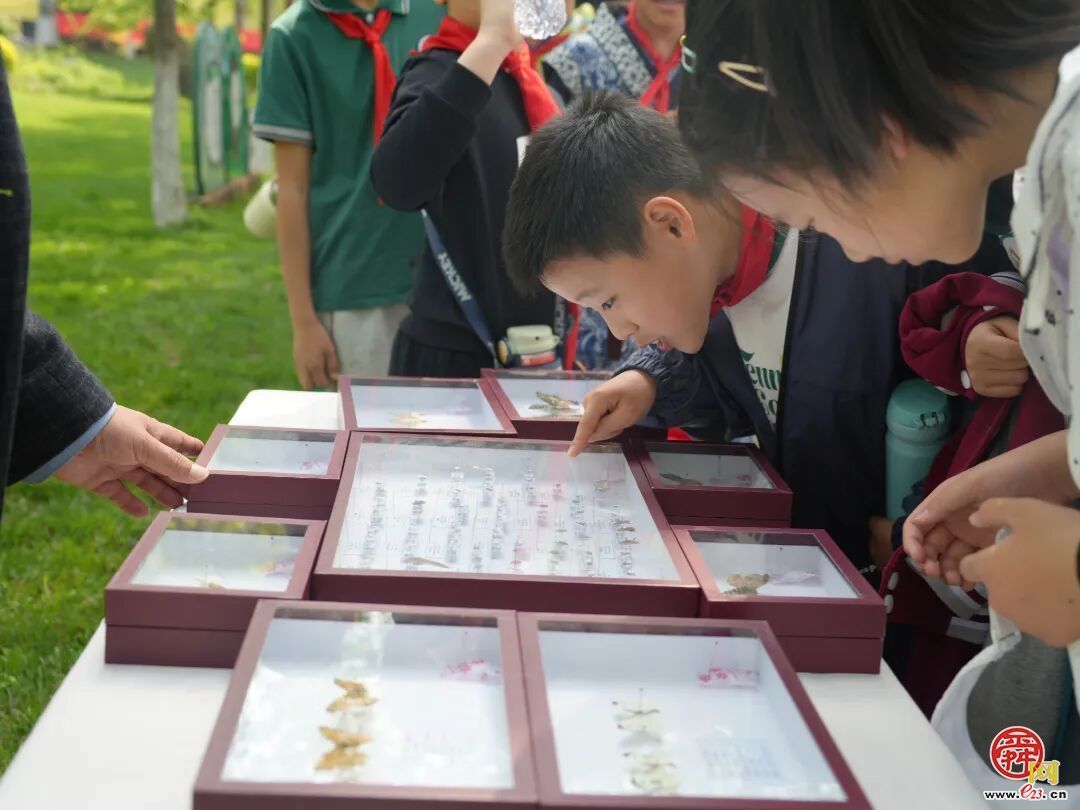 “绿满齐鲁 ——‘森’临其境·守护地球”