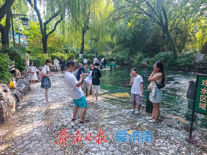 高水位赋能泉城景观 濯缨池亲水漫步成消暑热门