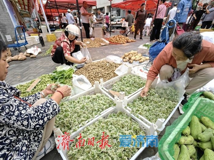 秋日早市韭菜花成“顶流”，市民抢鲜腌制家的味道