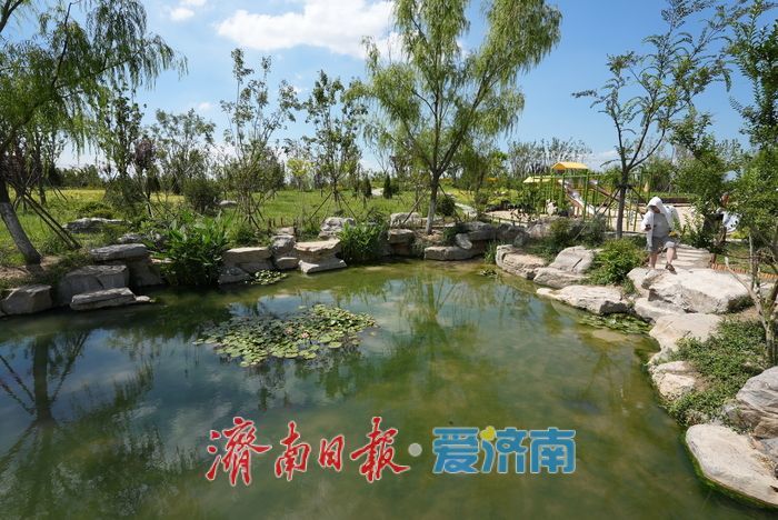 一年四季 泉在济南丨叮咚泉水映童趣，“泉涌白沙”醉游人