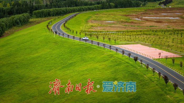 一年四季 泉在济南丨玉符河生态公路 绿意与辽阔尽收眼底