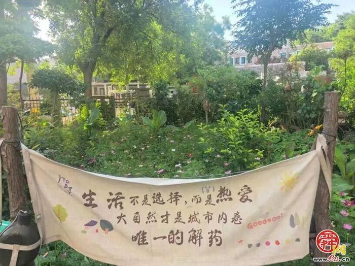 边角荒地变成邻里后花园，槐荫区德裕家园第一社区微治理“变形记”
