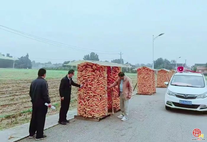 章丘圣井街道：农业之花绽放在耕耘里