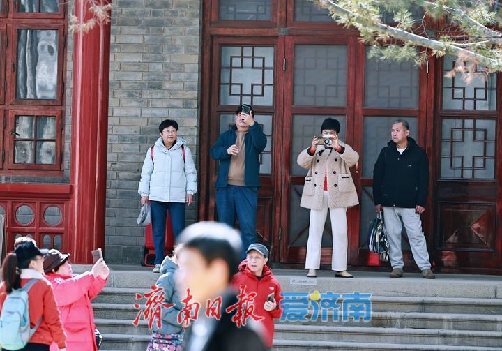 山东古建筑博物馆成打卡热地 市民沉浸式感受中式古建魅力