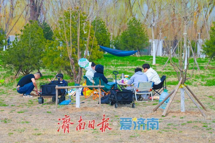 一年四季 泉在济南丨春拂白泉 草坪露营放风筝解锁市民春日休闲新场景