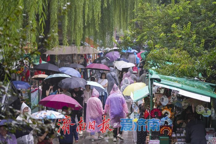 一年四季 泉在济南丨一场秋雨，唤醒鲜活的泉城