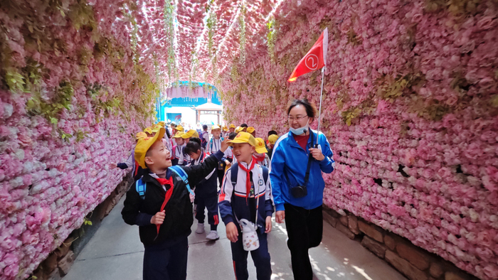 济南市鹊山小学学子奔赴海洋世界，感受生命的魅力