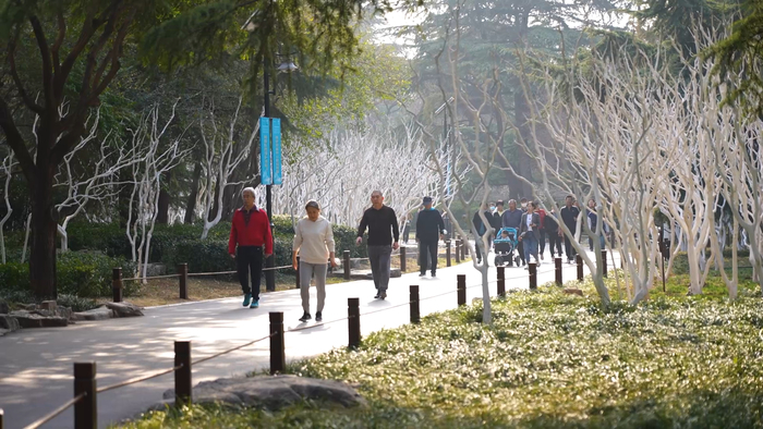 赏花、看柳、寻泉……提前预习济南的春天