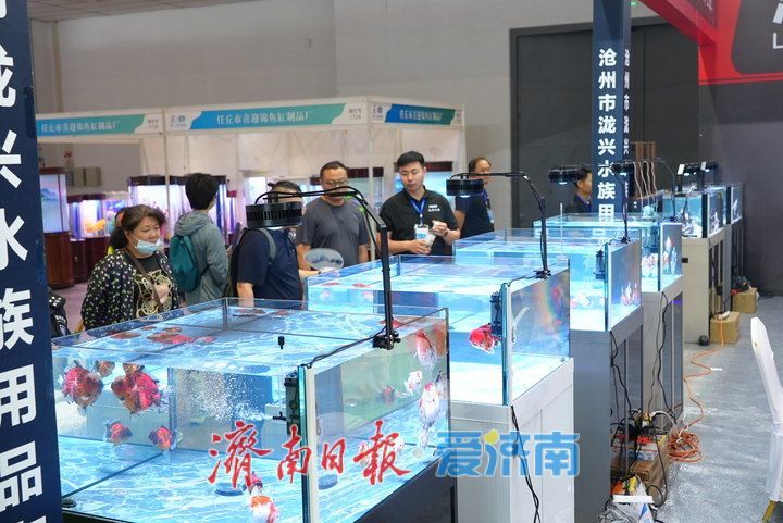 精彩纷呈！2025年第十二届中国（山东）国际宠物水族用品展开幕