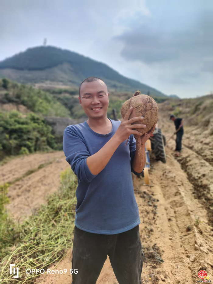 最美新农人｜付雷：以梦为犁，让蜜薯甜透振兴路