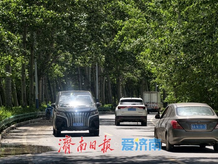 初夏穿行小清河北路，误入城市版“绿野仙踪”