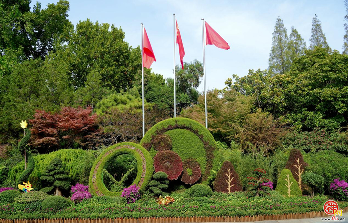 第46届趵突泉金秋菊展即将点亮泉城秋色