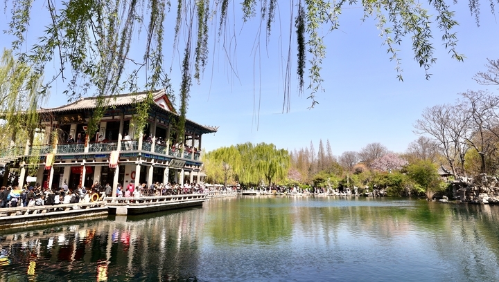 周末畅游花海 享受多彩春天