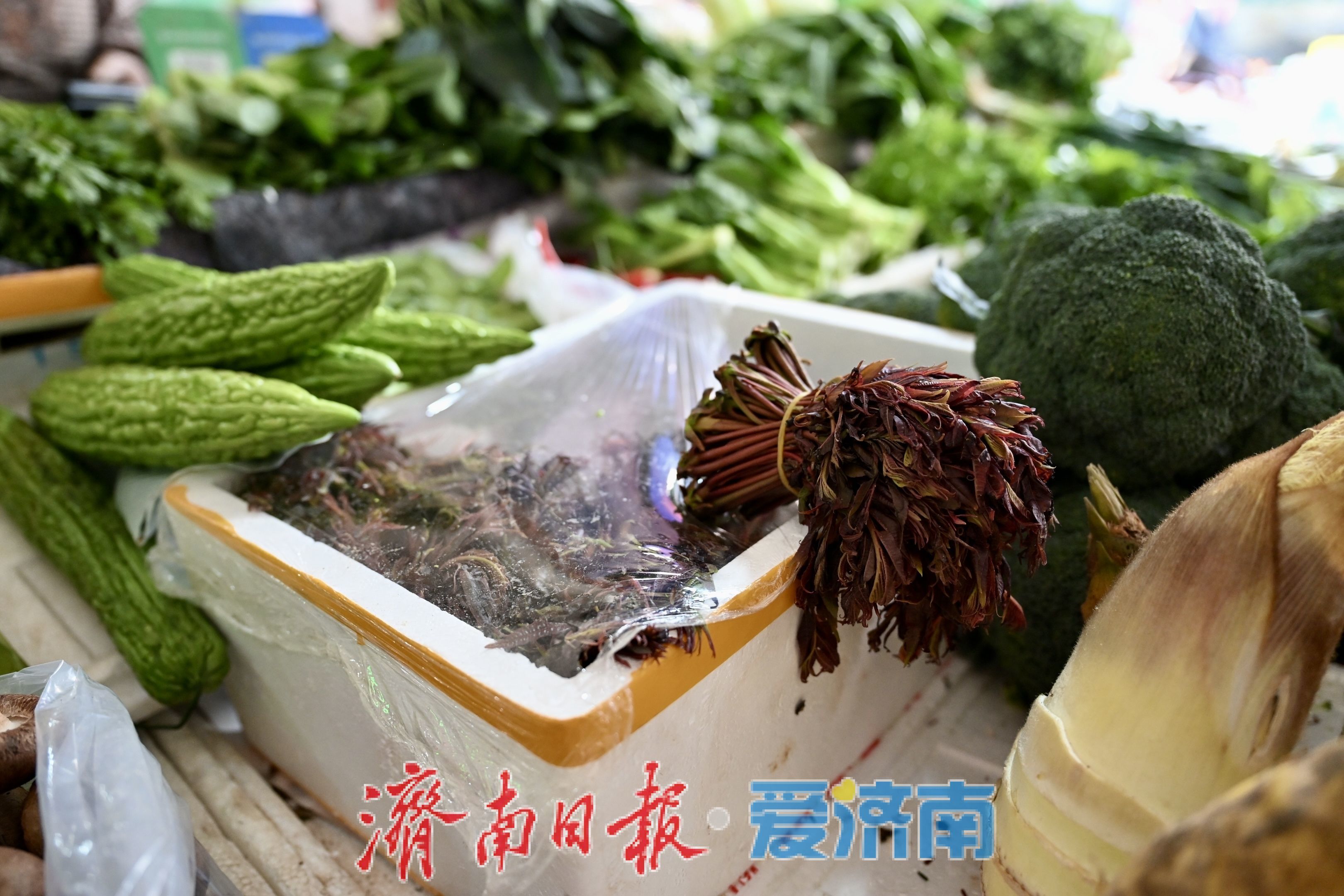 济南民族大街市场春菜上市 价格稳中有降人气旺