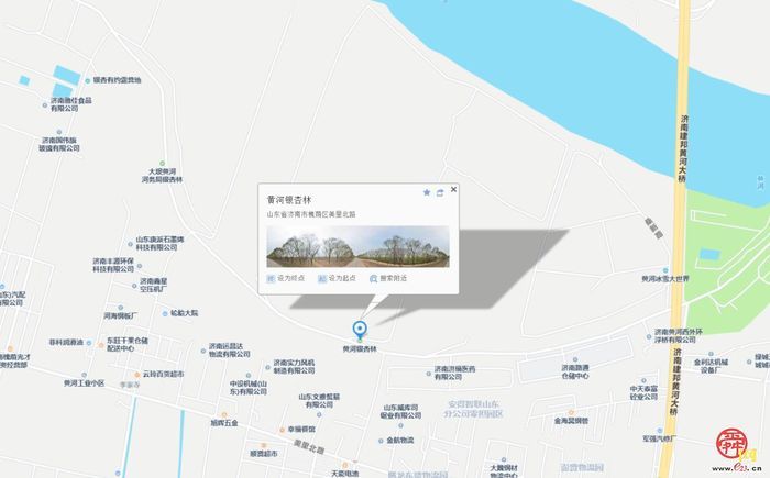 飞阅黄河大坝，邂逅“生态廊道”的春日序章｜春满槐荫·黄河长堤画卷①