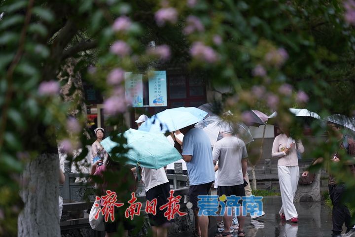 一年四季 泉在济南｜烟雨“济南府”赛江南 雨中泉水游别样体验