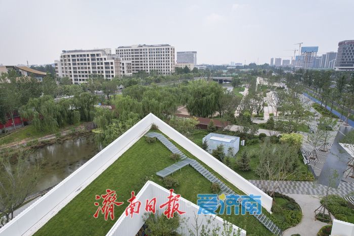 杨家河公园焕新升级，打造生态宜居城市新名片