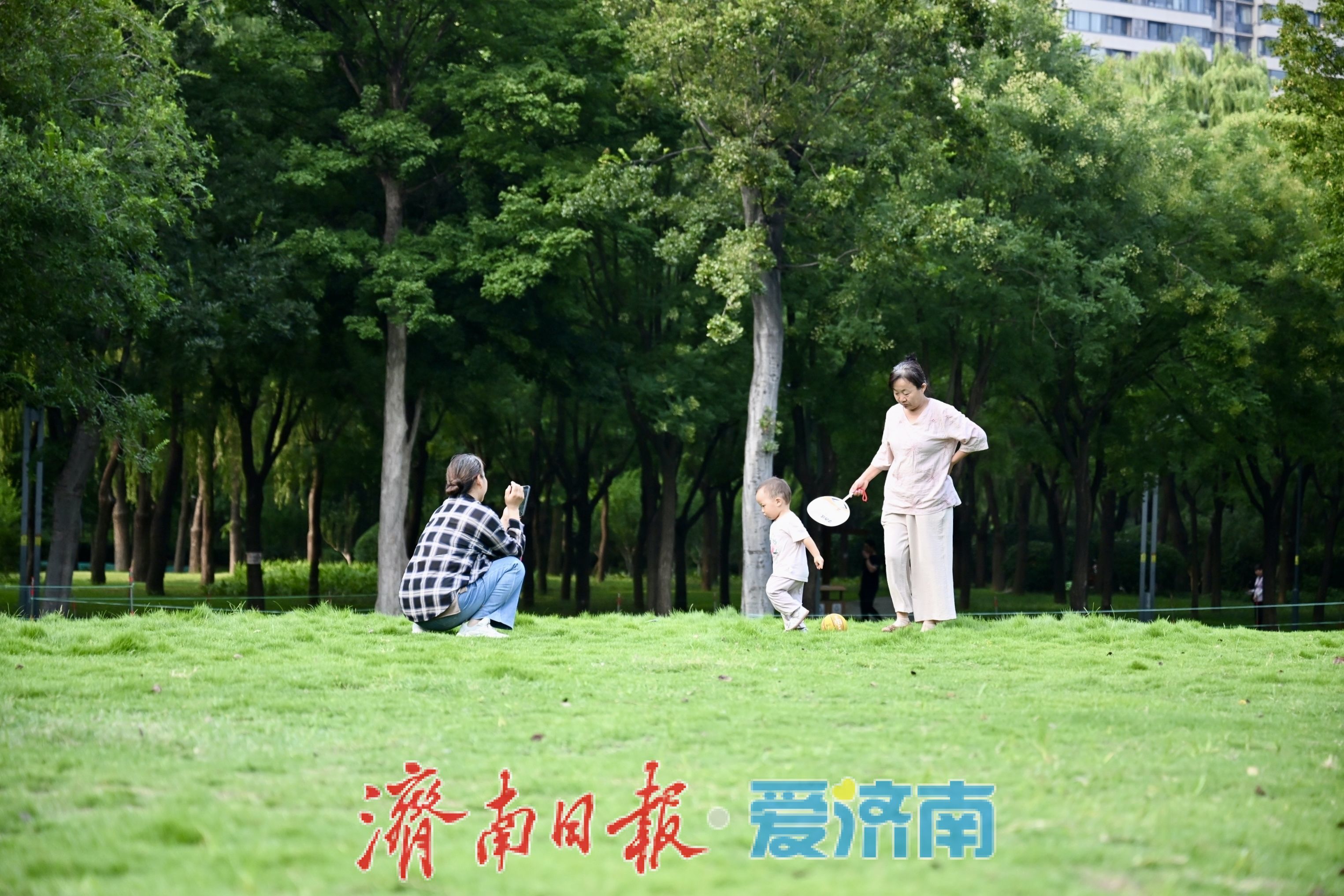 一年四季 泉在济南丨济南森林公园绿地草坪变身避暑胜地，市民林间纳凉乐享夏日慢时光