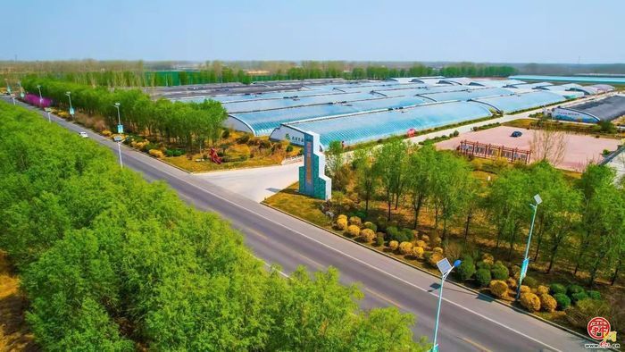 “这里是章丘”——高官寨篇