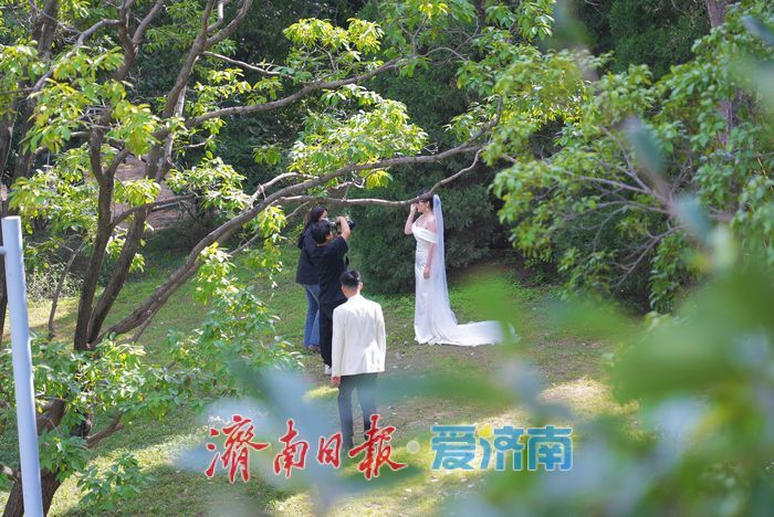 泉城公园秋景如画 晴日漫步赏秋享惬意