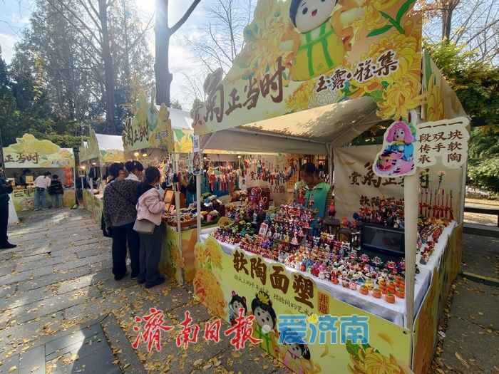 菊香引路，趵突泉畔“玉露雅集”乐享多元体验