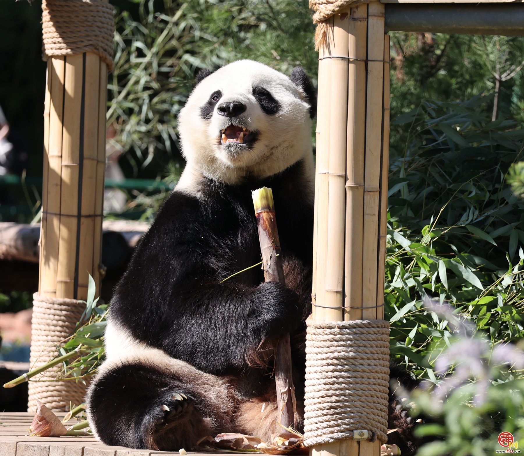 “泉”在济南享金秋 