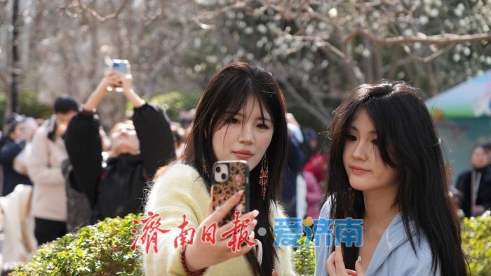 玉兰花再次凭实力出圈，“花” 式打卡等你赴约