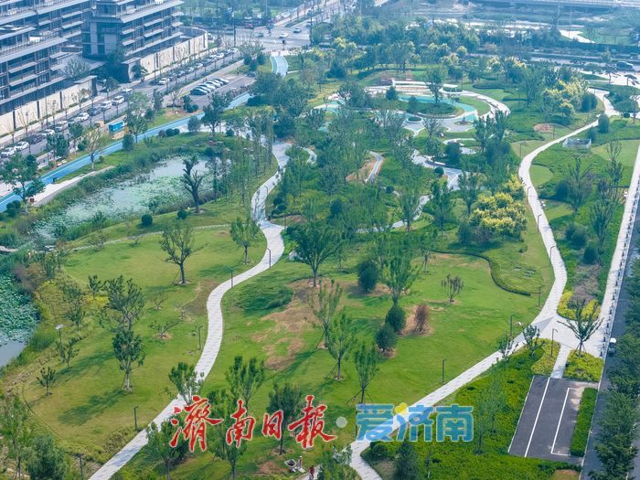 寄情水岸绿意 白泉生态景观廊道重塑城市滨水画卷