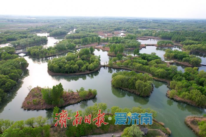 “城市绿肺”尽显春日生态美