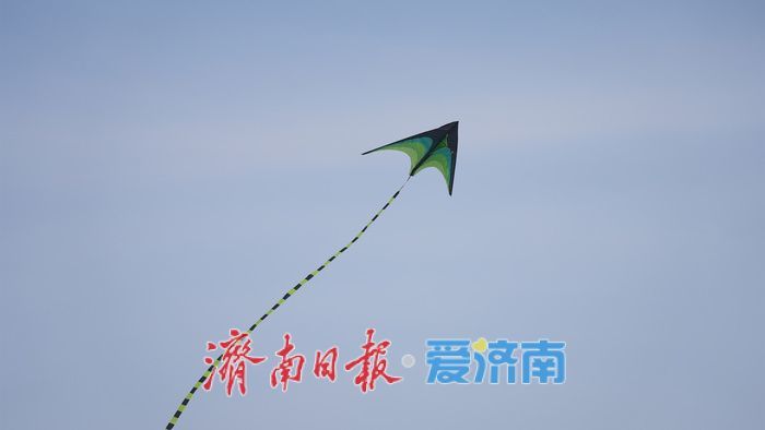 泉城春日的天空，被风筝 “承包” 了