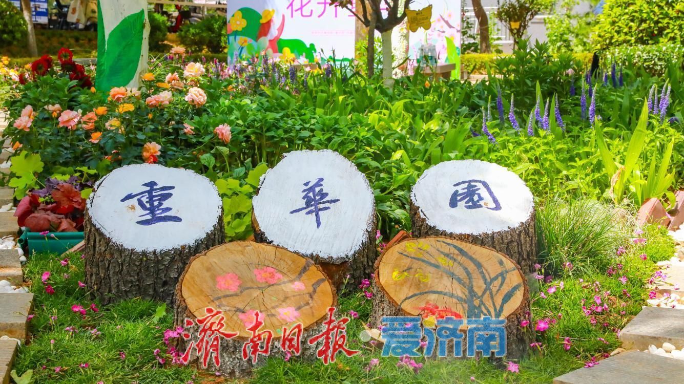 绿意直达居民“家门口”！历下区104座公园织就全域绿网