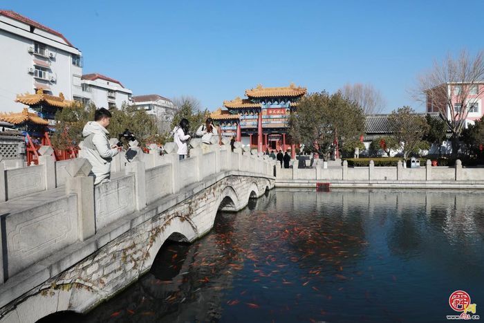 新春走基层丨文庙里的春节，让千年文脉“活”起来