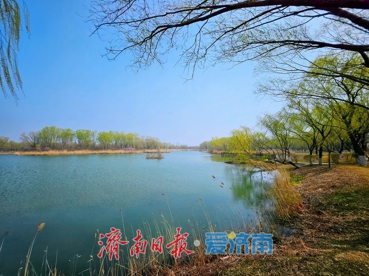 春染湿地美如画 生态济西迎客来