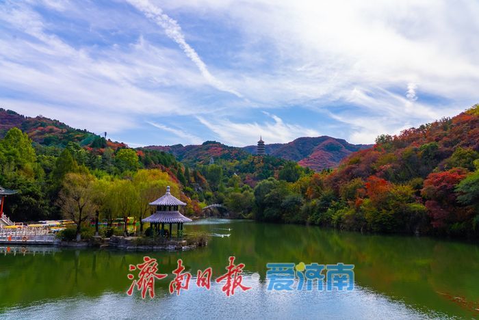 万山红遍，层林尽染！济南红叶谷进入最佳观赏期