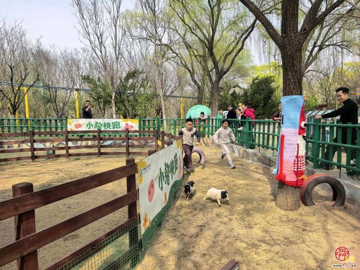 济南野生动物世界特色活动上线！第七届马戏嘉年华重磅来袭萌趣与欢乐双拉满