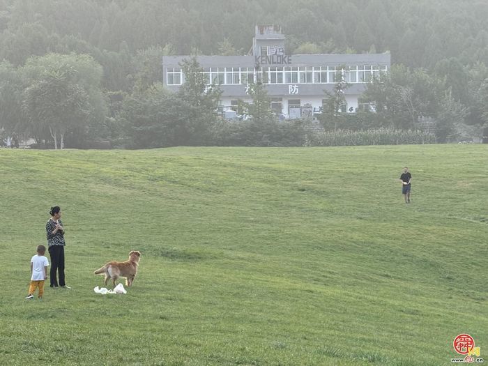 让“诗与远方”触手可及——济南市政协月度商量推进绿地开放共享