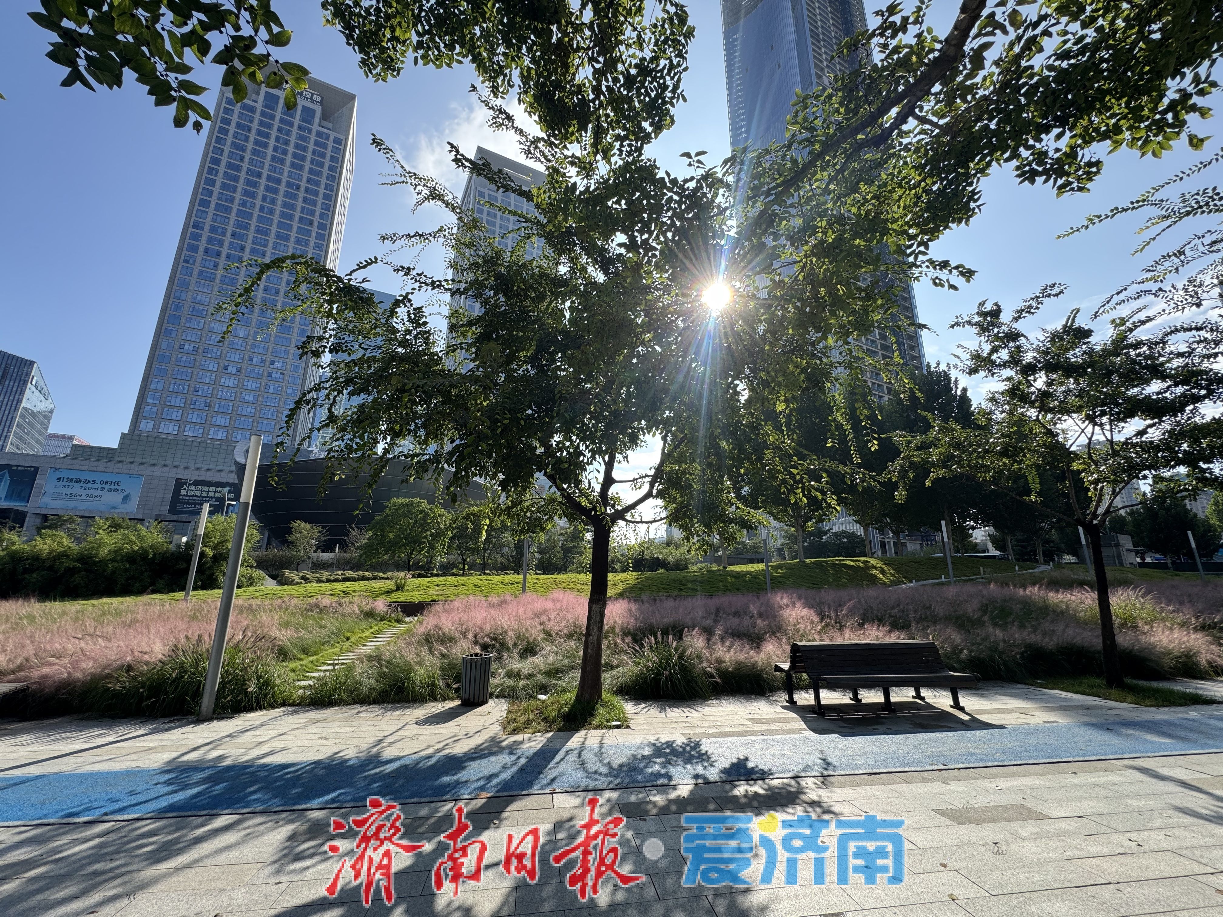 一年四季 泉在济南丨济南泉城人才公园：粉黛盛放绘就秋日浪漫画卷