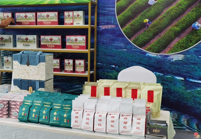 700家品牌茶企齐聚泉城 2024济南国际茶博会开幕