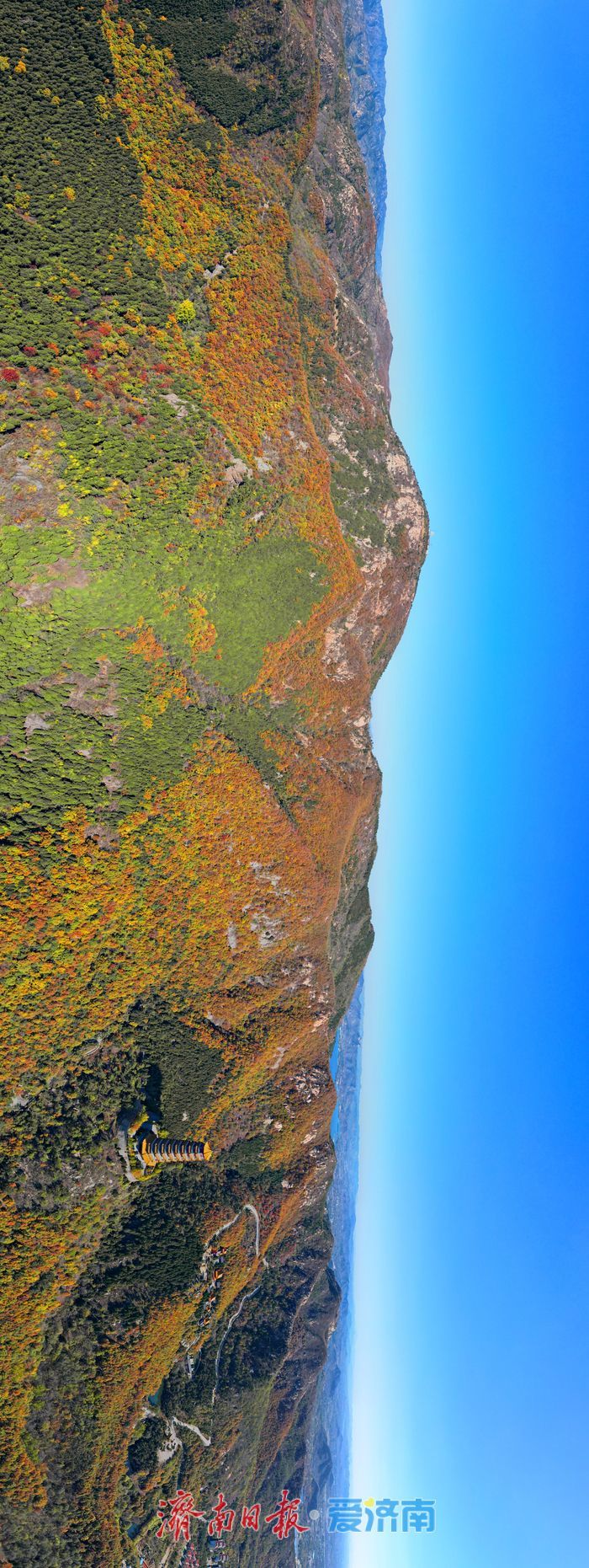 层林尽染换“彩妆”！大舟山打翻秋日“调色盘”