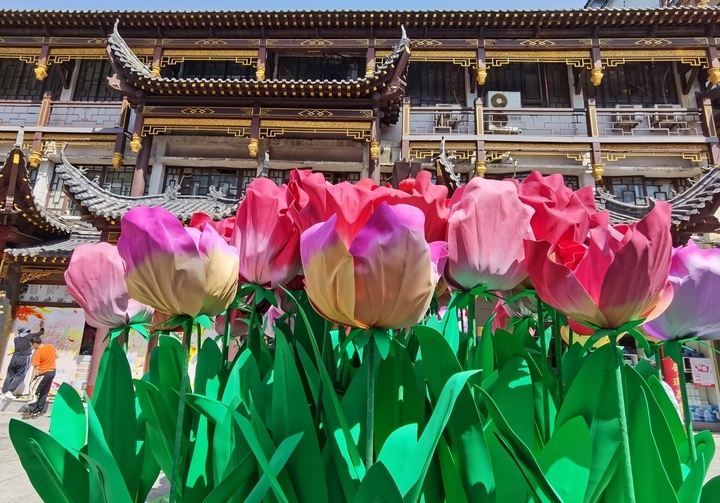 “泉”在济南过五一｜“花漾街区”扮靓大观园