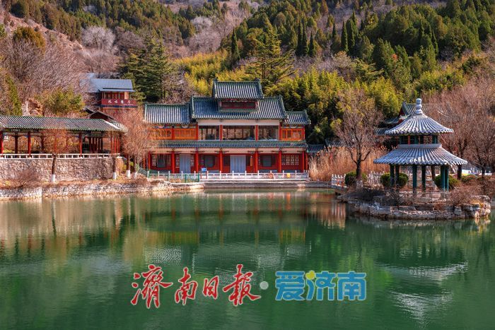 万株梅花次第开，红叶谷第18届梅花节诗意启幕