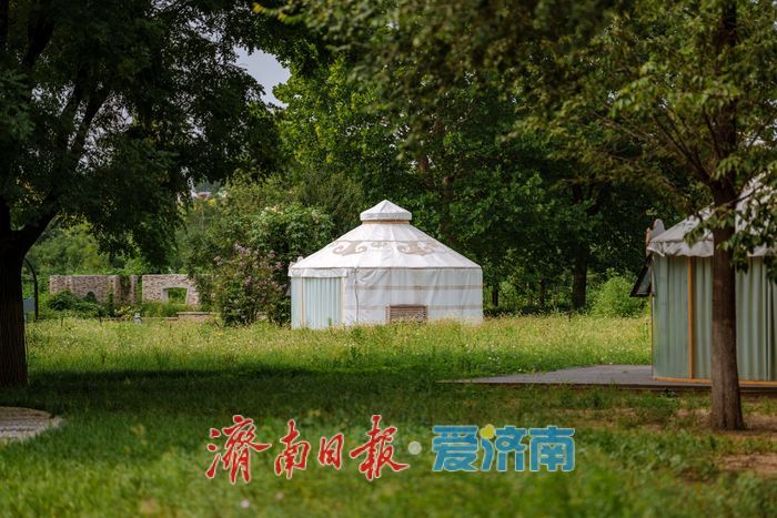 一年四季 泉在济南丨鲜花港杉林水乐园、杉水间营地开业,解锁夏日清凉潮玩法